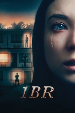 1BR (2019) Hindi Dual Audio 300MB