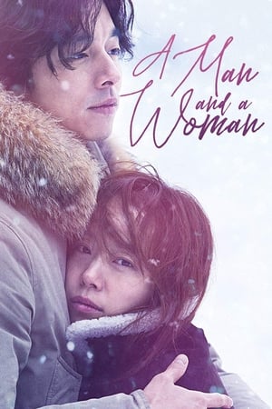 A Man and A Woman (2016) Hindi Dual Audio [950MB]