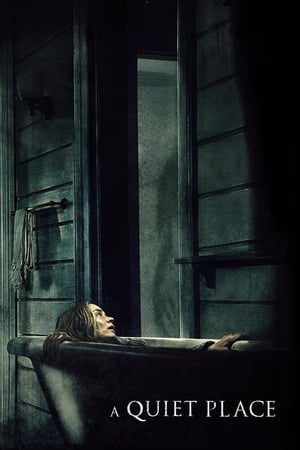 A Quiet Place 2018 Hindi Dual Audio [800MB]