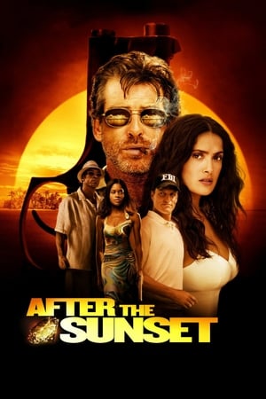 After The Sunset (2004) Hindi Dual Audio [780MB]