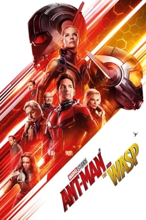 Ant Man and the Wasp (2018) Hindi (Org) Dual Audio [1.1GB]