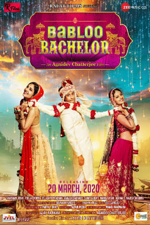 Babloo Bachelor (2021) Hindi Movie –