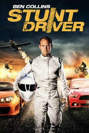 Ben Collins Stunt Driver (2015) Hindi Dual Audio [1GB]