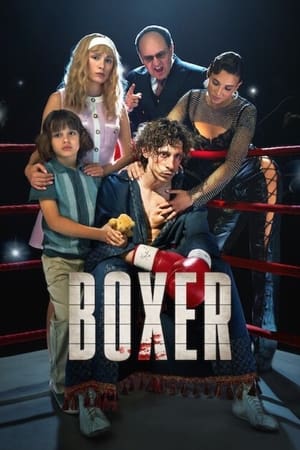 Boxer (2024) Hindi Dual Audio – 720p – 480p