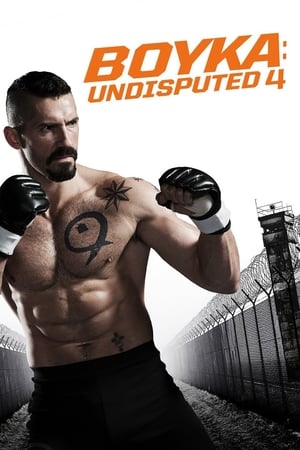 Boy 2019 Hindi Movie - [350MB]