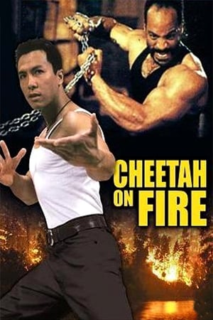 Cheetah on Fire 1992 Hindi Dual Audio 290MB