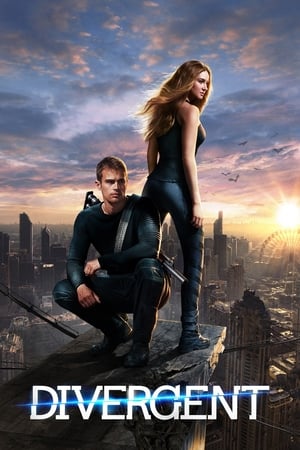 Divergent (2014) Hindi Dual Audio [1.3GB]