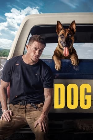 Dog (2022) Hindi Dual Audio –
