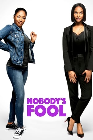 Nobody's Fool (2018) Hindi Dual Audio 360MB
