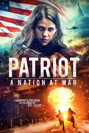 Patriot A Nation at War 2020 Hindi Dual Audio [930MB]