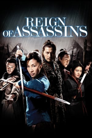 Reign Of Assassins (2010) Hindi Dual Audio [1GB]